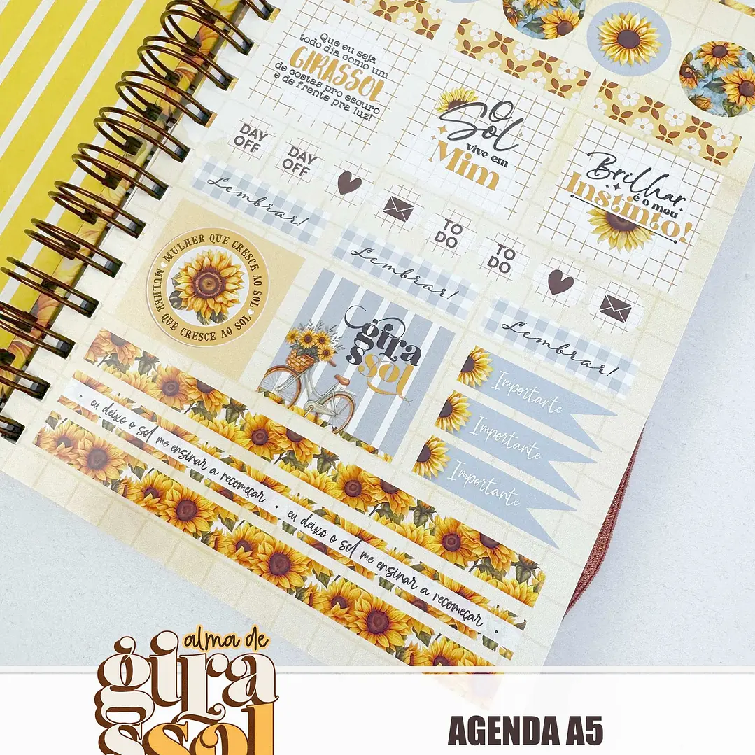 Arquivo Coleção Girassol Encadernação 01 - Tita 23