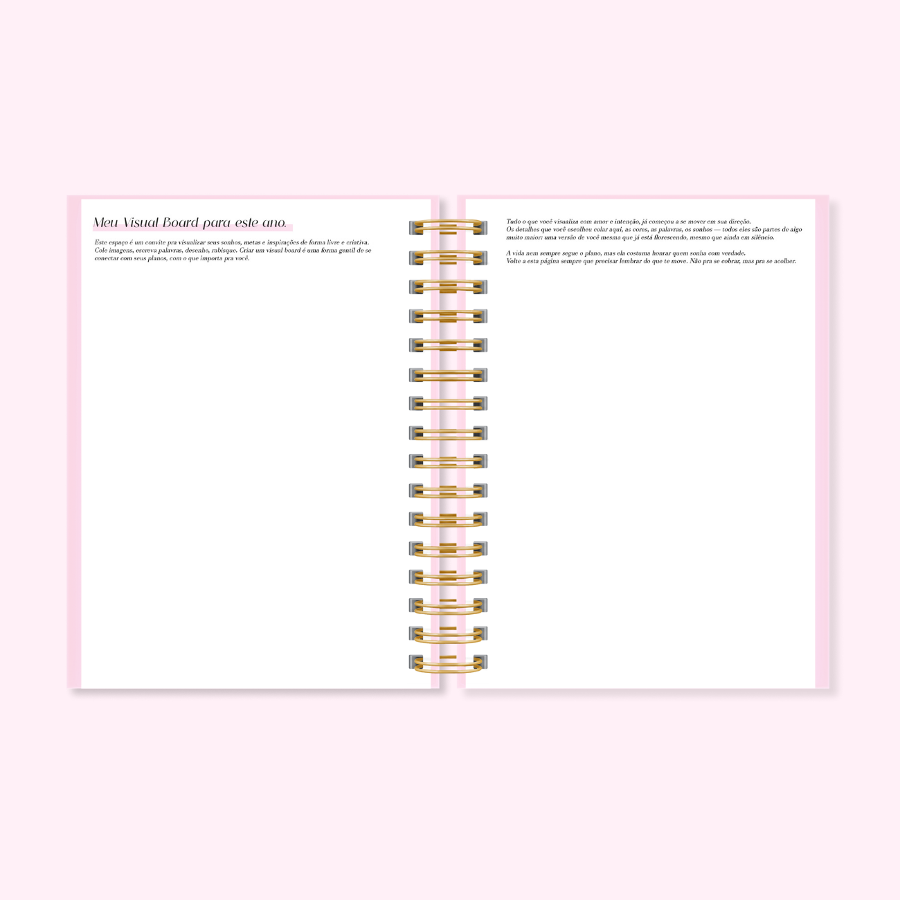 Arquivo Planner 2026 e Permanente  13