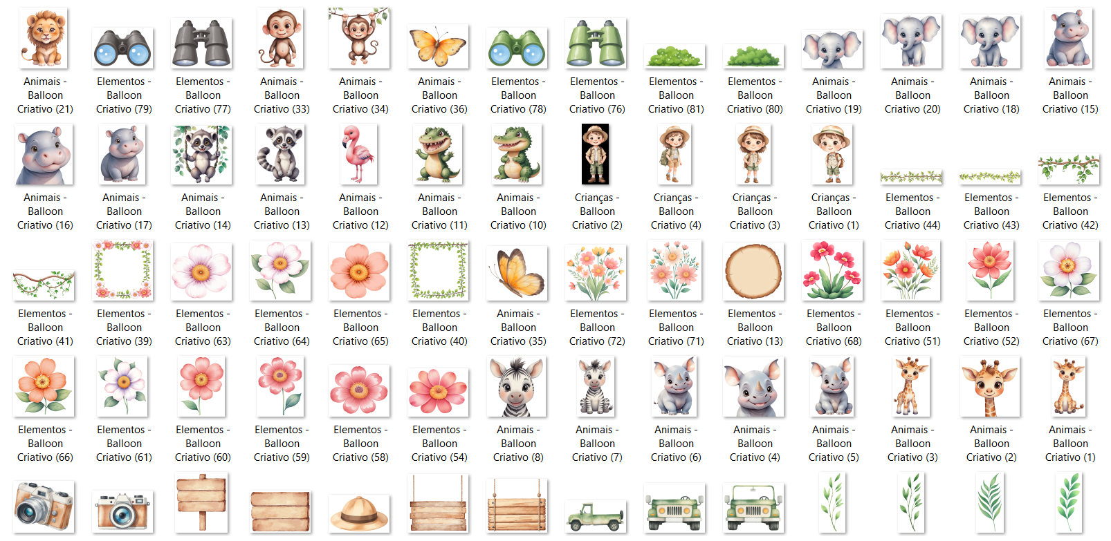 Arquivo Kit Digital Safari 5