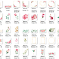 Arquivo Kit Digital Rosas - Thumbnail 2