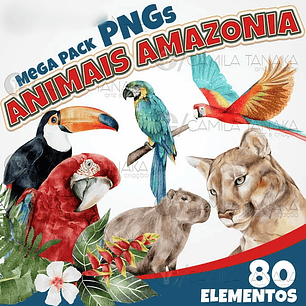 Arquivo Kit Digital Animais Amazonia