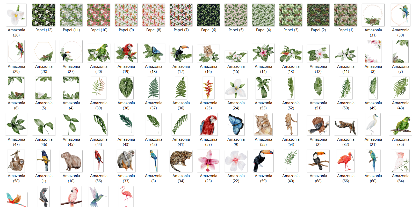 Arquivo Kit Digital Animais Amazonia 2