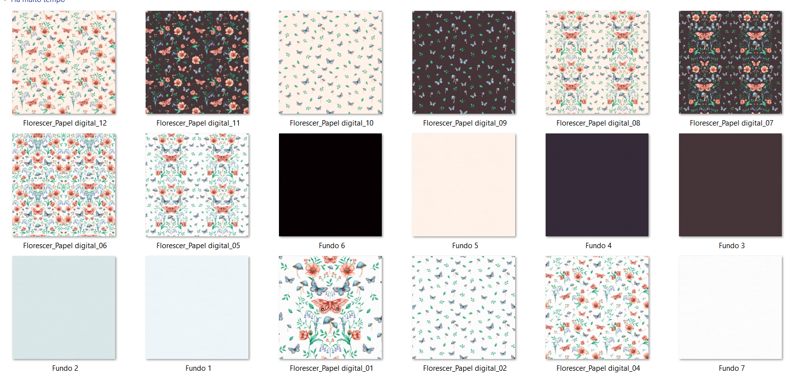 Arquivo Kit Digital Florescer 3