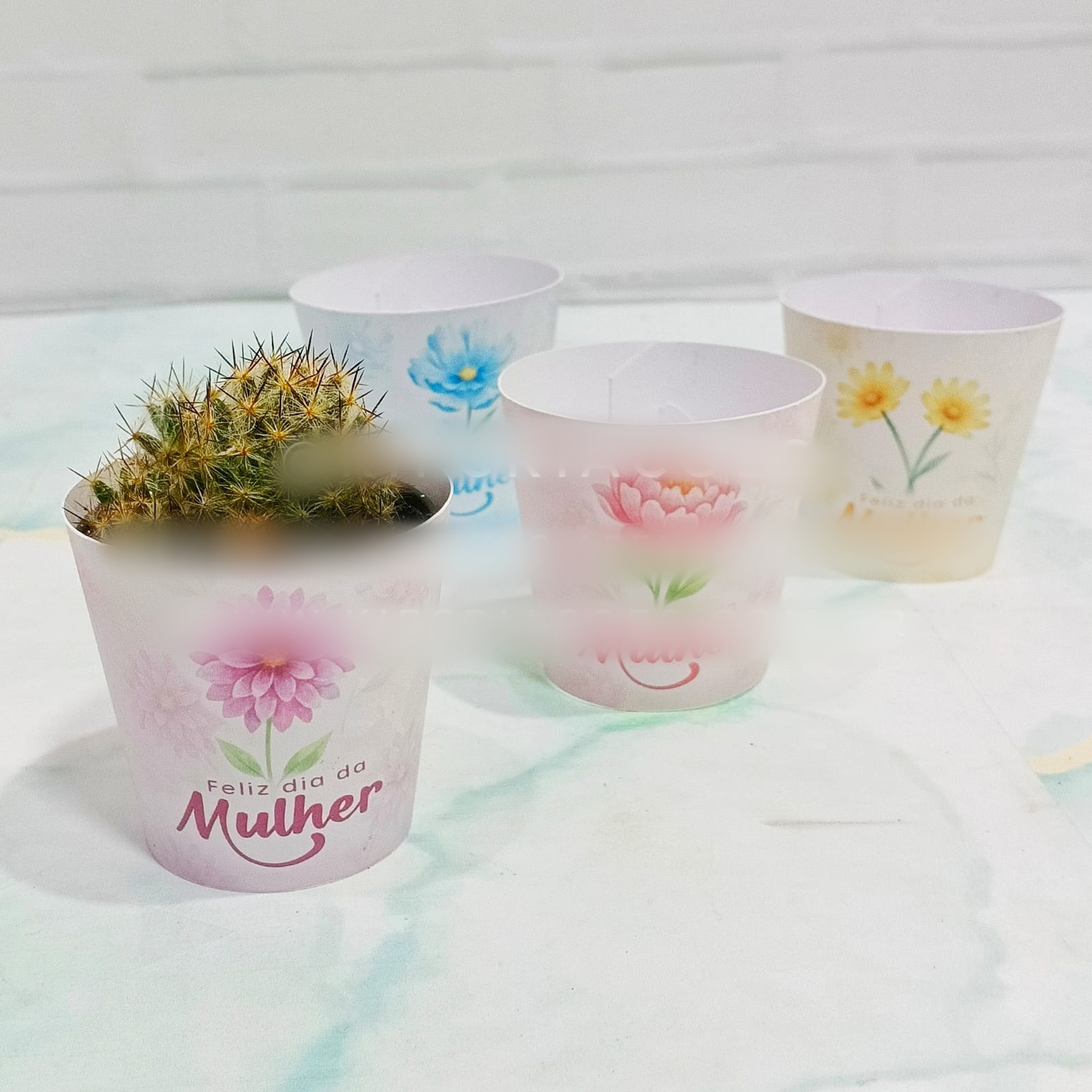 Arquivo Dia da Mulher Porta Cacto  1