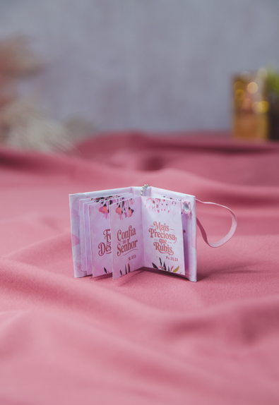 Arquivo Dia da Mulher Mini Bíblia Sanfona 2