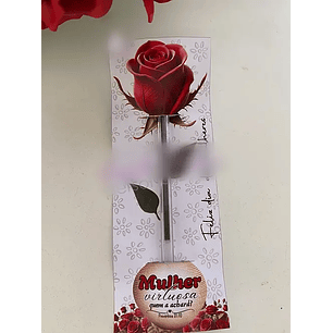 Arquivo Dia da Mulher Card Caneta Rosa Vermelha 