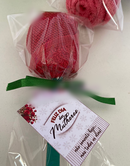 Arquivo Tag Dia da Mulher  1