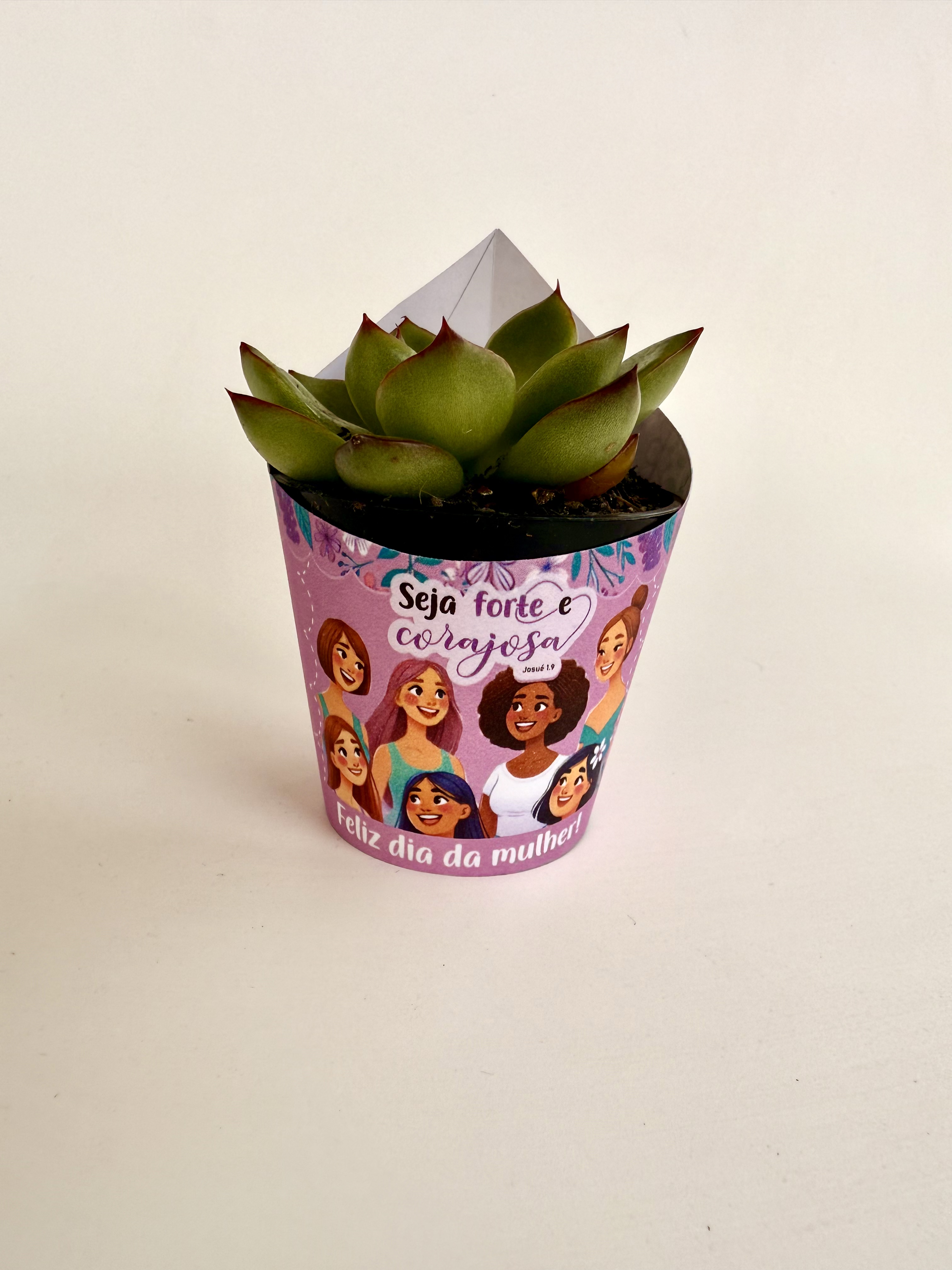 Arquivo Dia da Mulher Rótulo Mini Suculenta  1