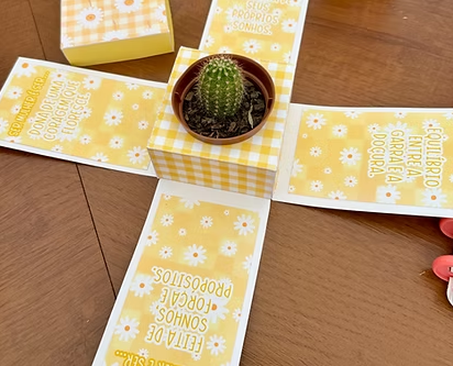 Arquivo Dia da Mulher Caixa Explosão  1