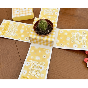 Arquivo Dia da Mulher Caixa Explosão 