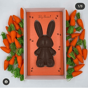 ARQUIVO PÁSCOA CAIXA COELHO GRANDE