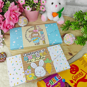 Arquivo Páscoa Caixa Barra 80g