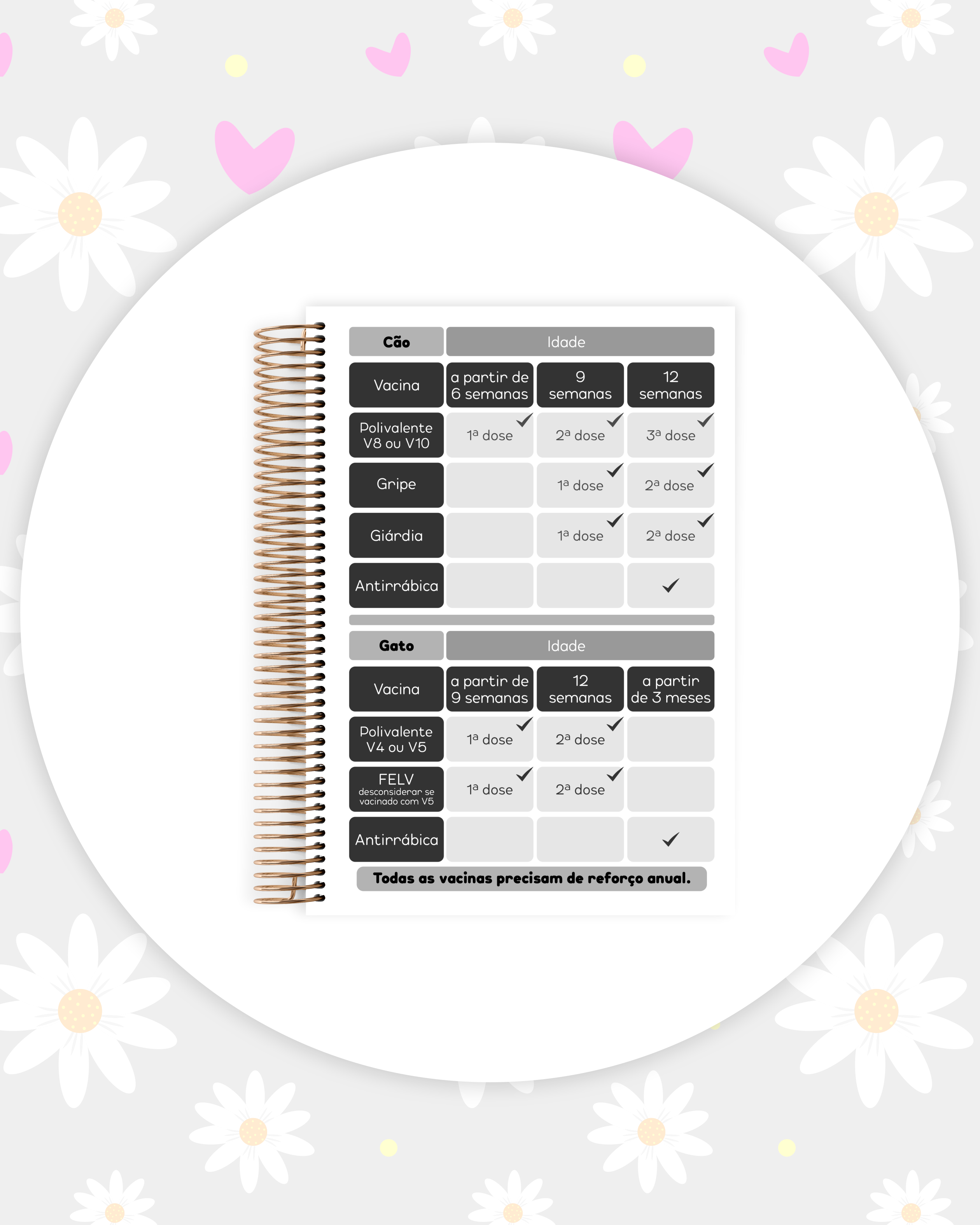 Arquivo Caderneta Pet 6