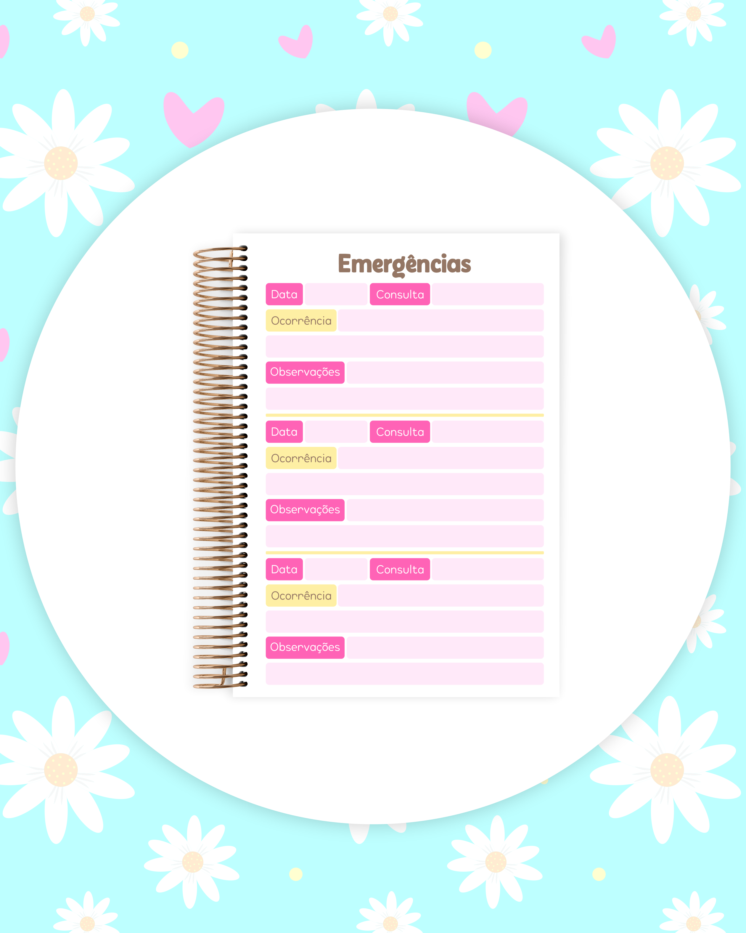 Arquivo Caderneta Pet 10