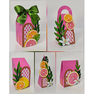 Arquivo de Corte Limões