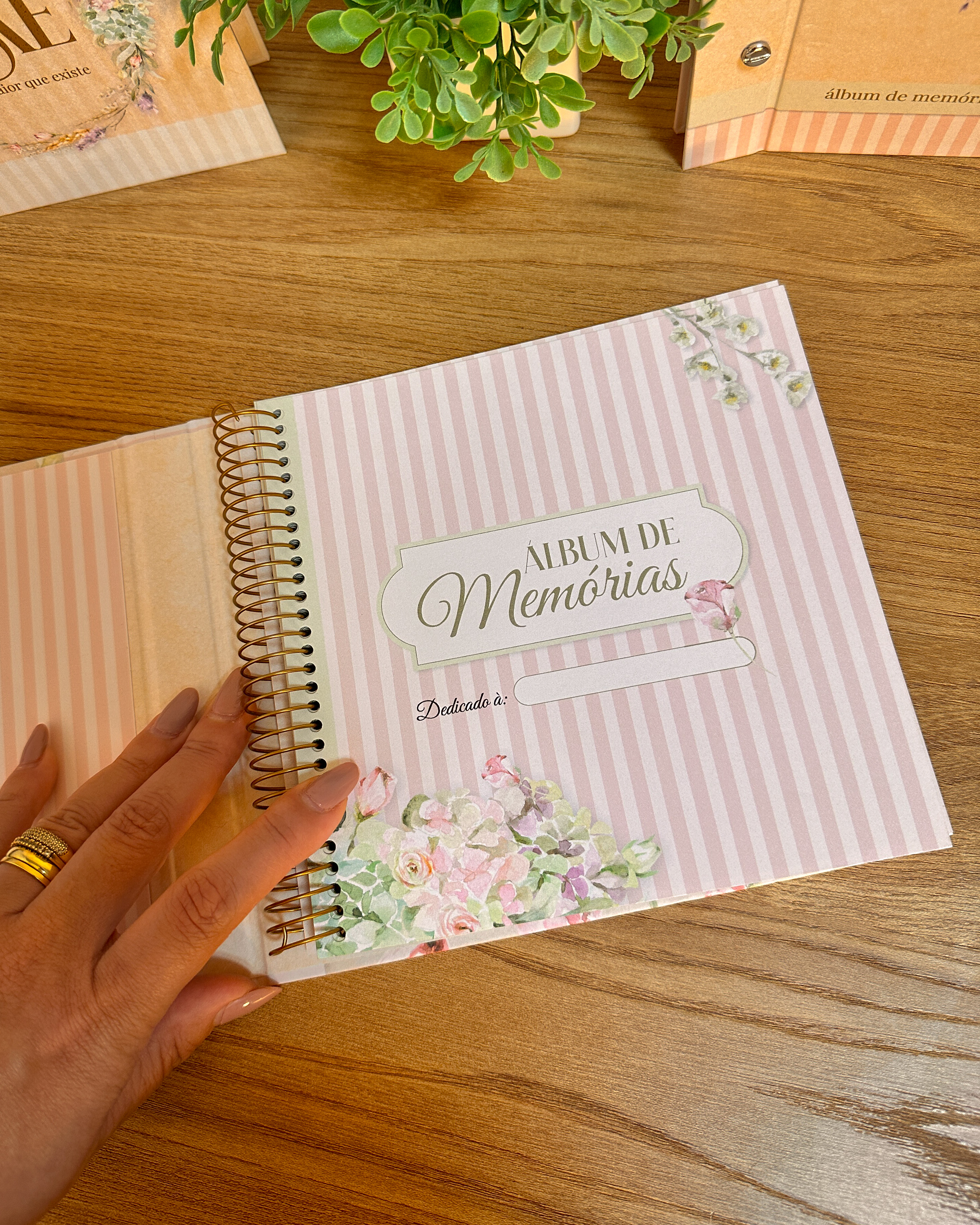 Arquivo Dia das Mães Álbum Amor em páginas 6