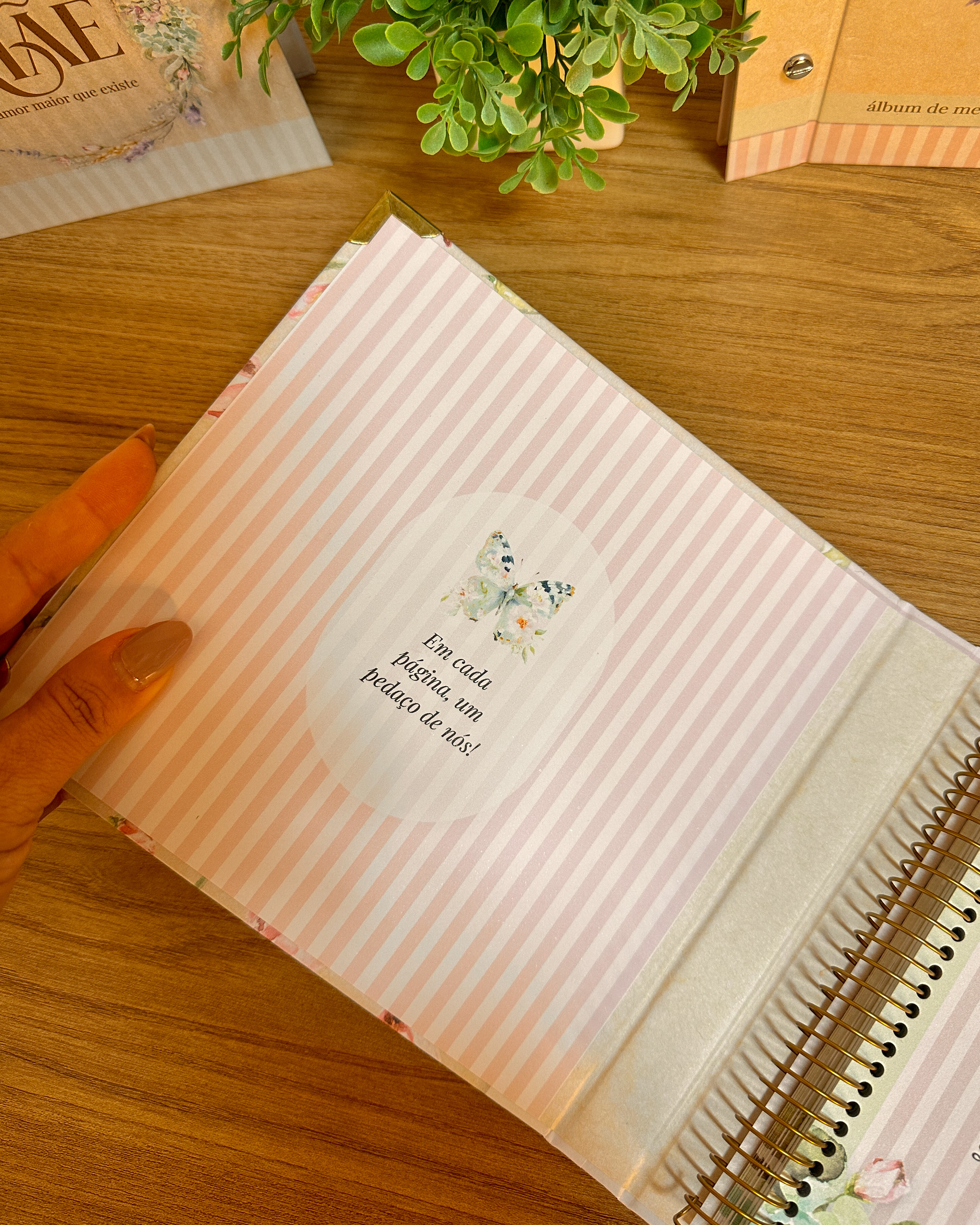 Arquivo Dia das Mães Álbum Amor em páginas 7