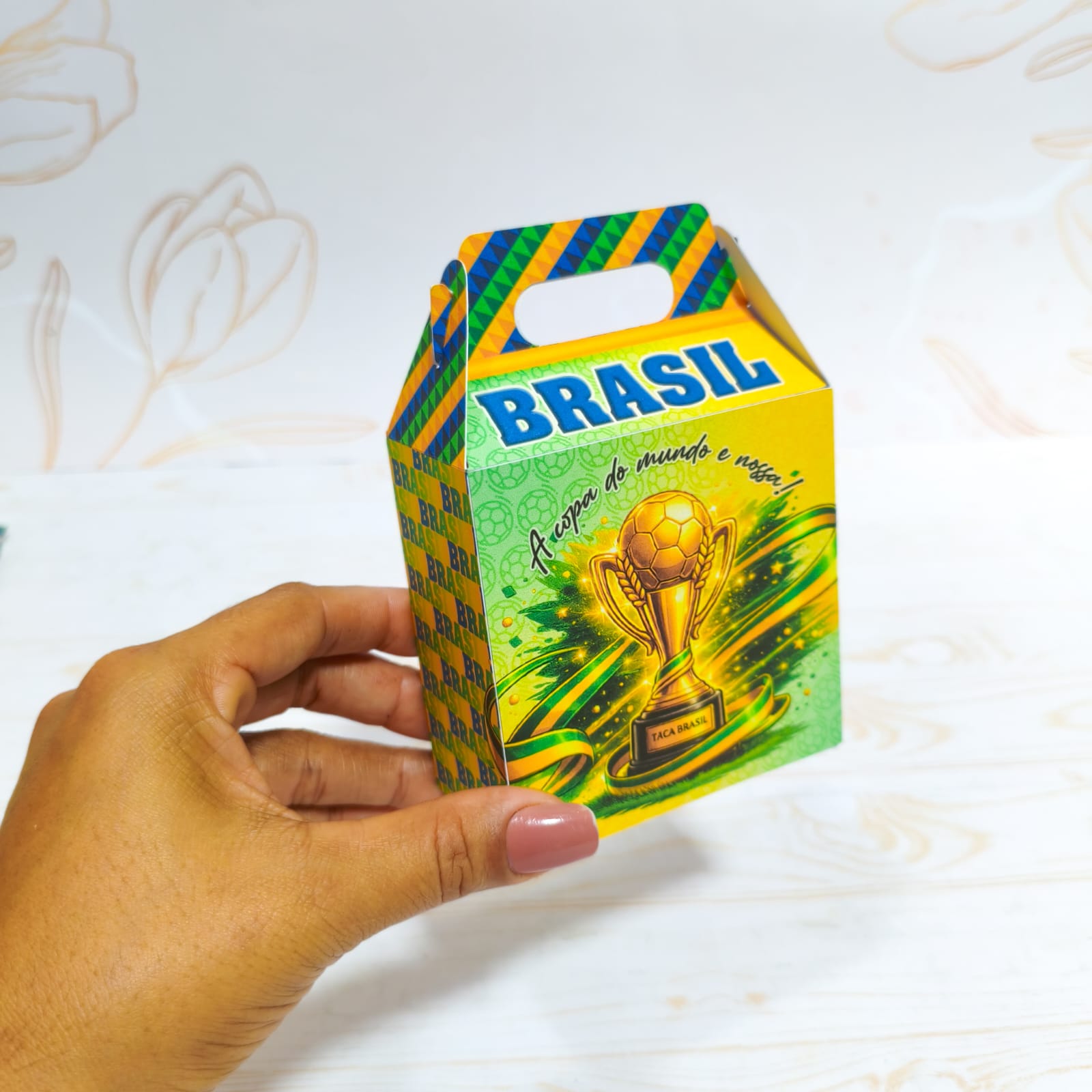 Arquivo Copa do Mundo Maletinha 1