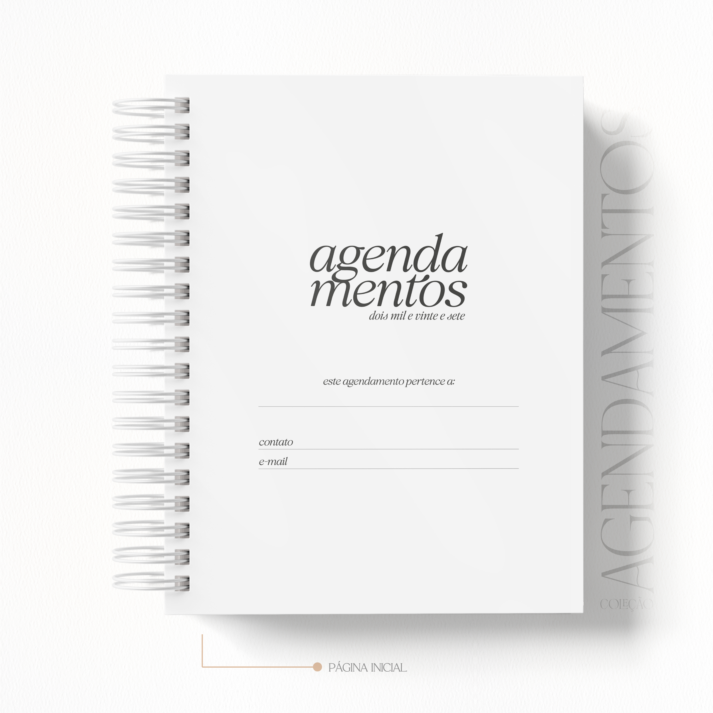 Arquivo Agendamentos e Profissões 2027 3