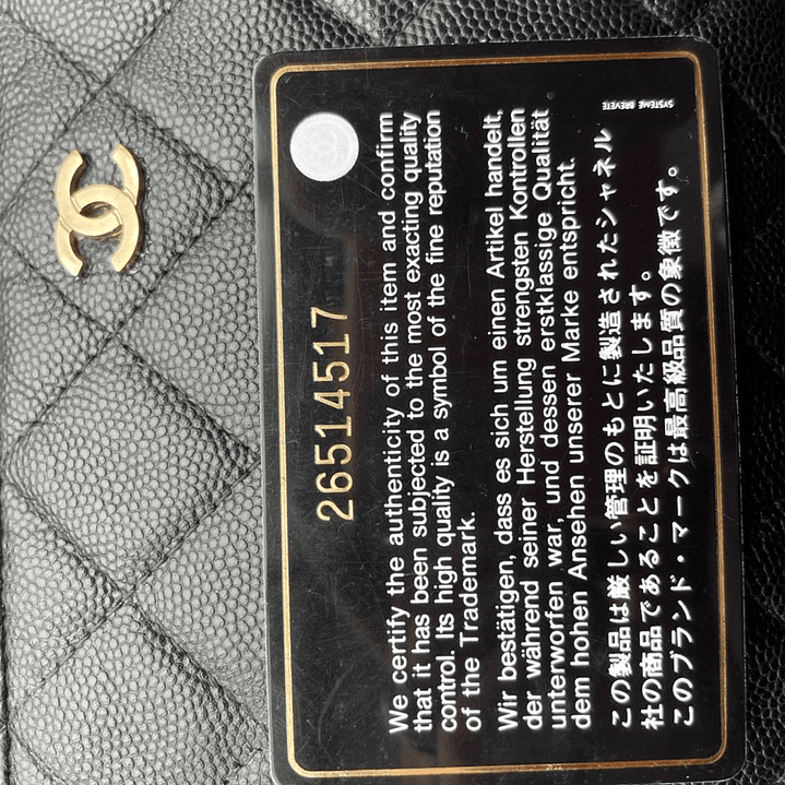 CARTERA DE MANO CHANEL 2