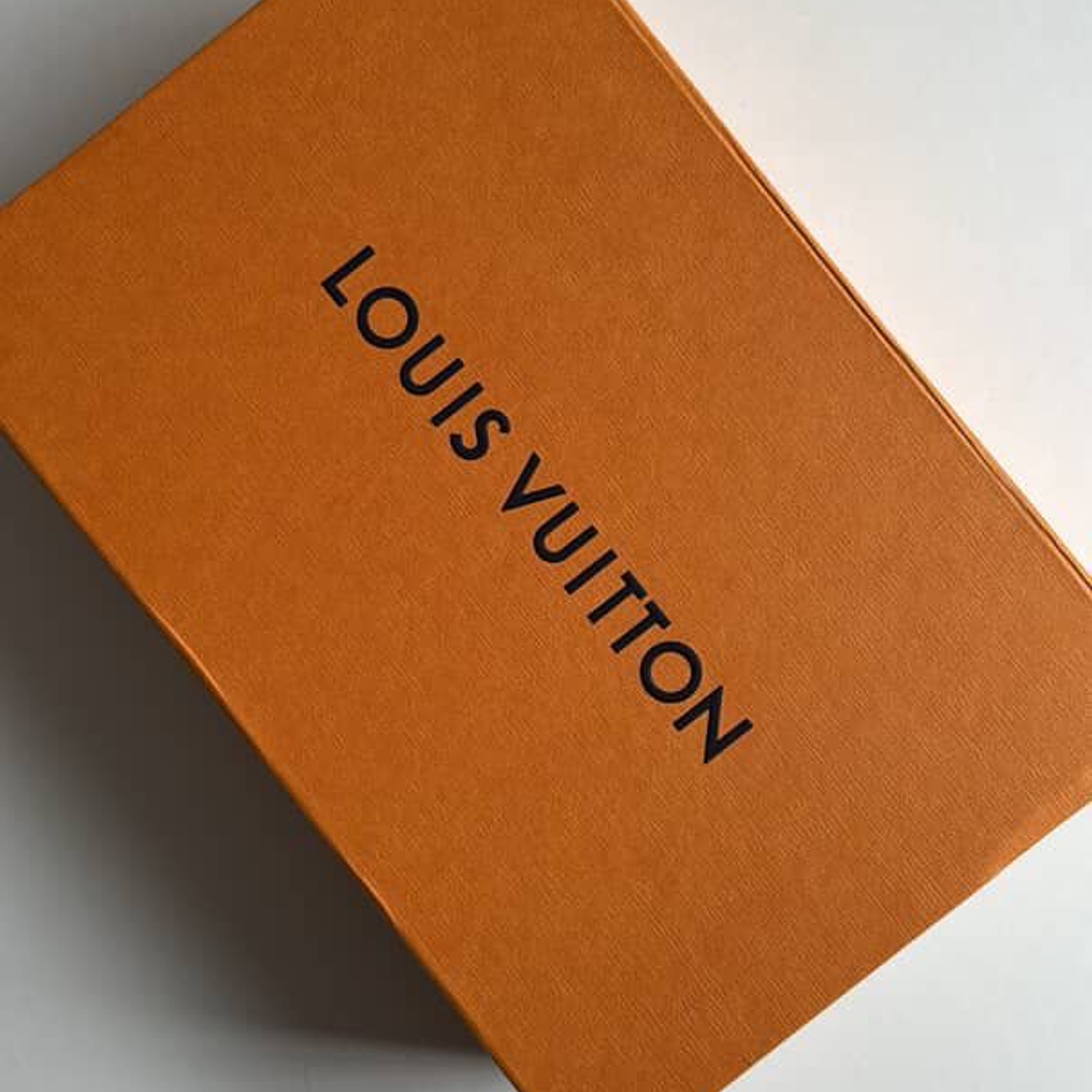 CARTERA LOUIS VUITTON  5