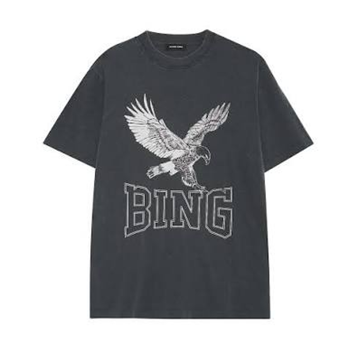 POLERA ANINE BING 2