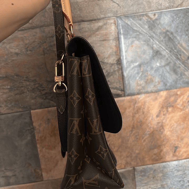 CARTERA LOUIS VUITTON  2
