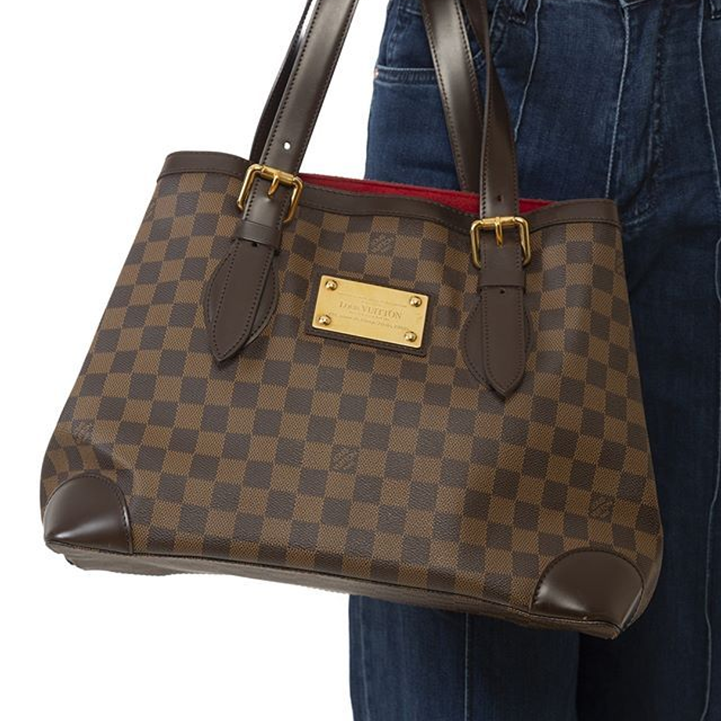 CARTERA LOUIS VUITTON  2