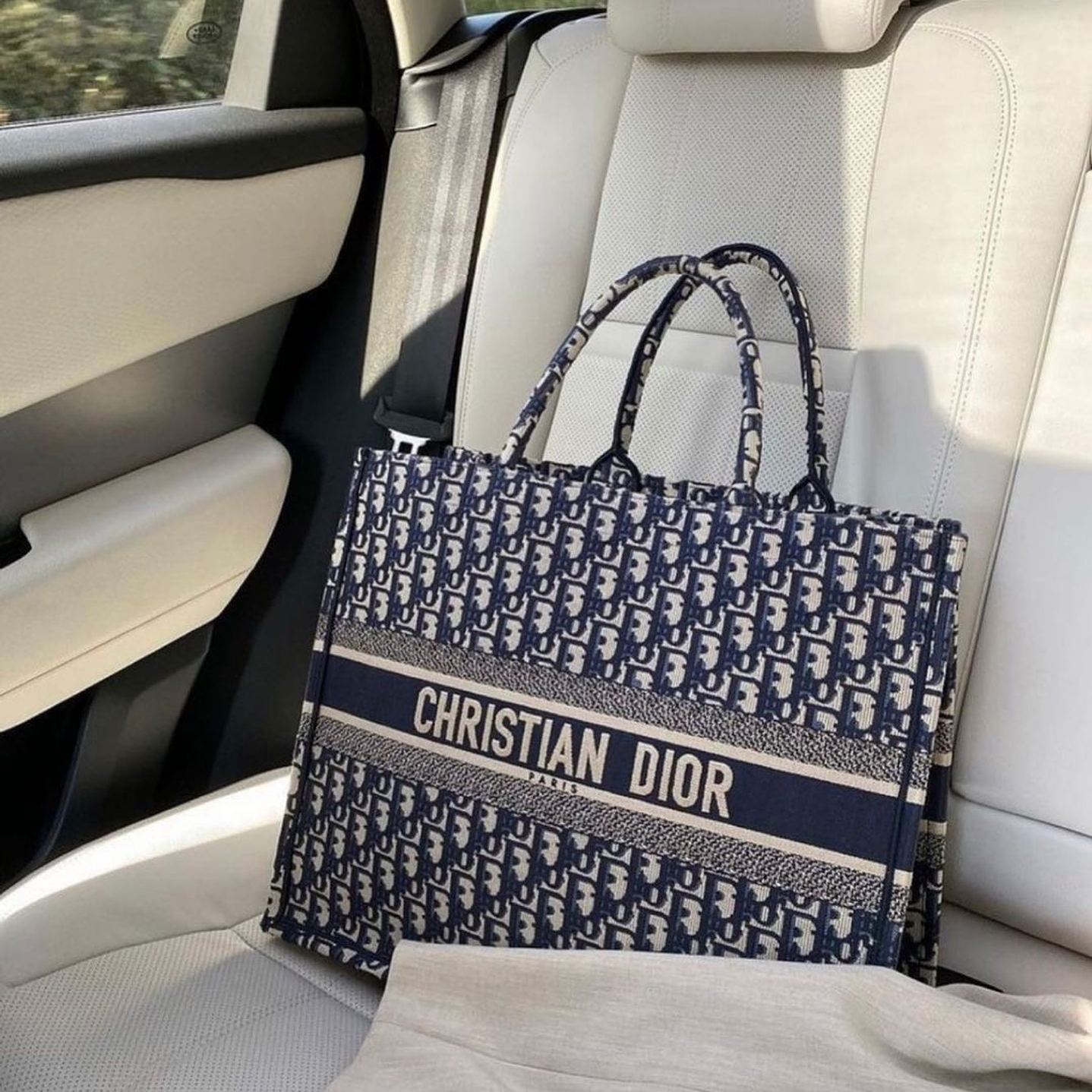 TOTE DIOR 1