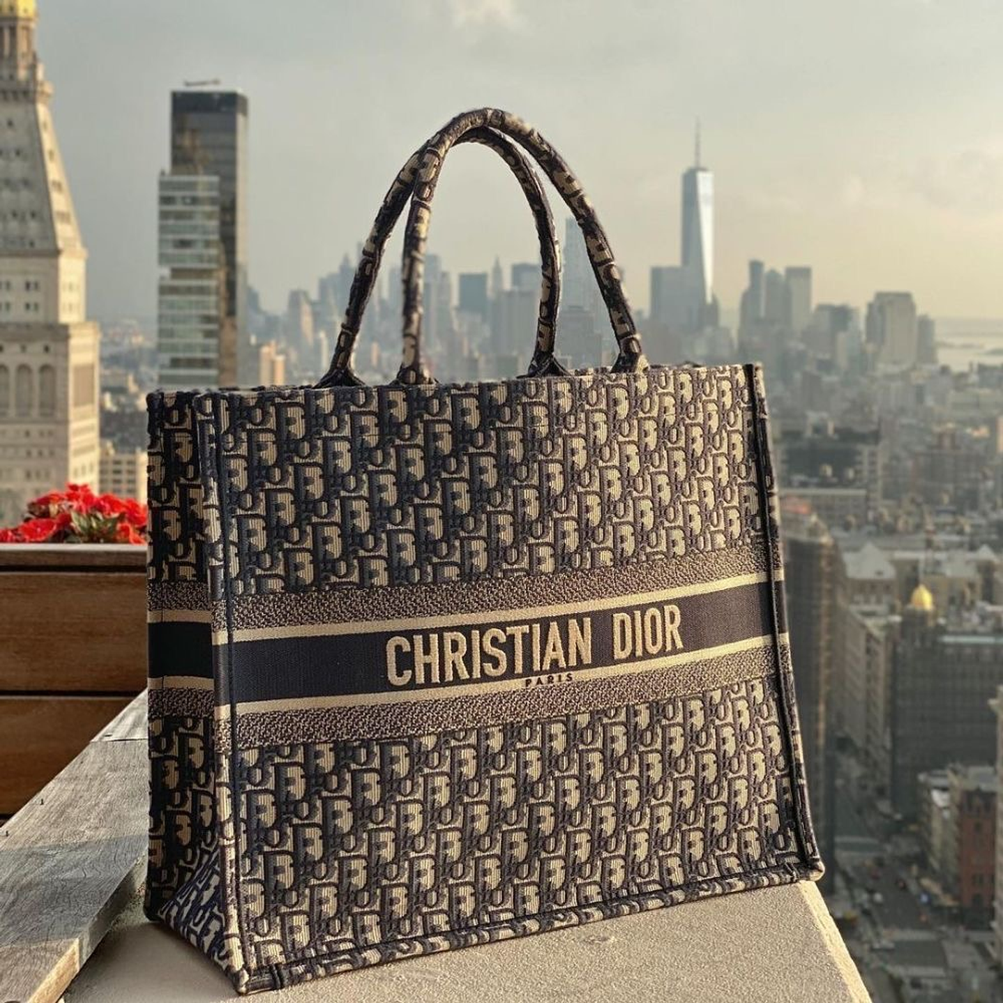 TOTE DIOR 6