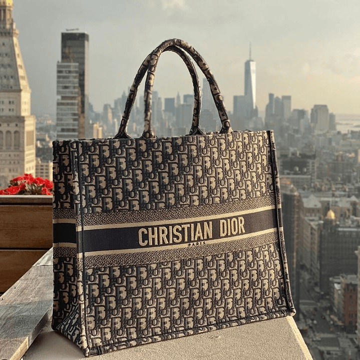 TOTE DIOR 6