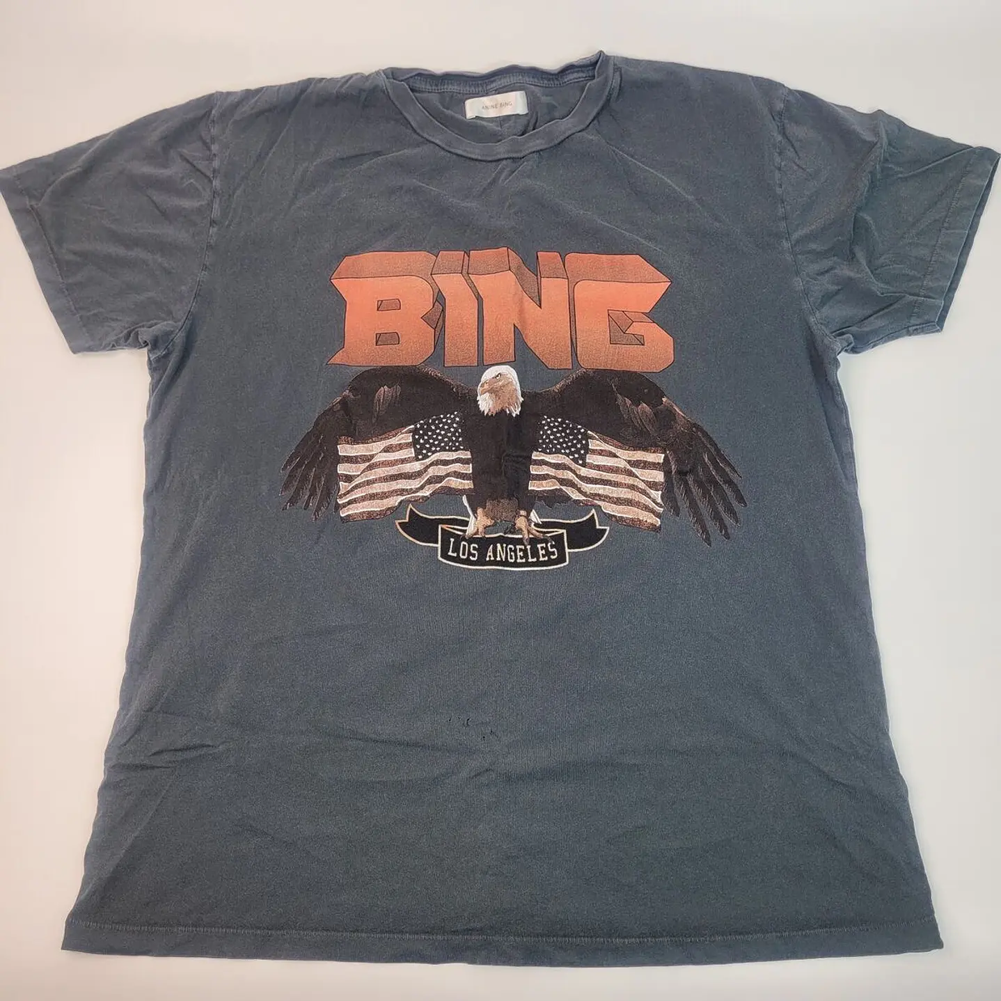 POLERA ANINE BING  3