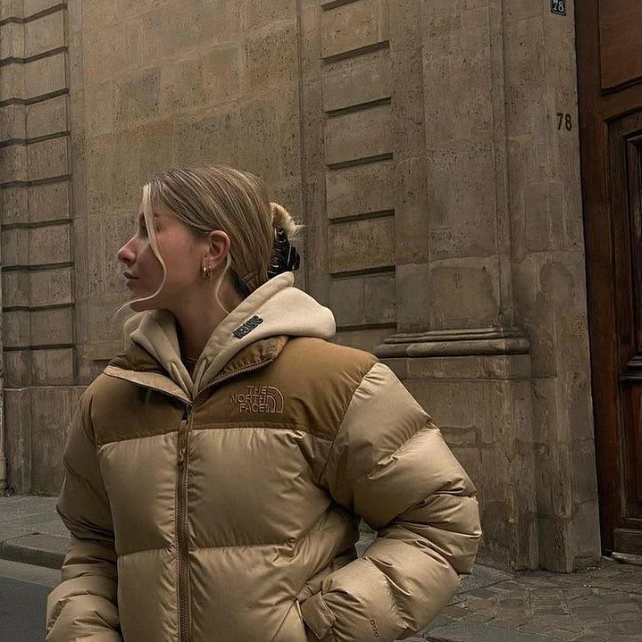 CHAQUETA THE NORT FACE 2