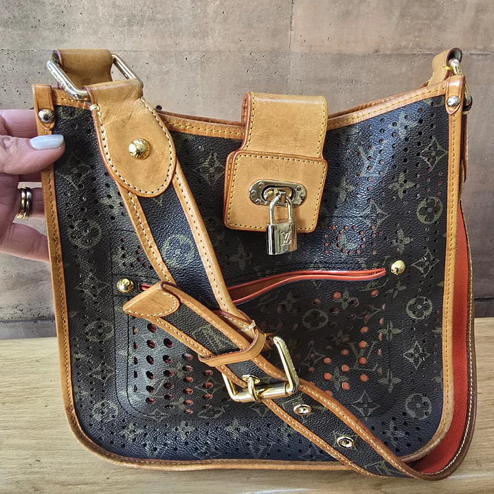 BOLSA LOUIS VUITTON  5