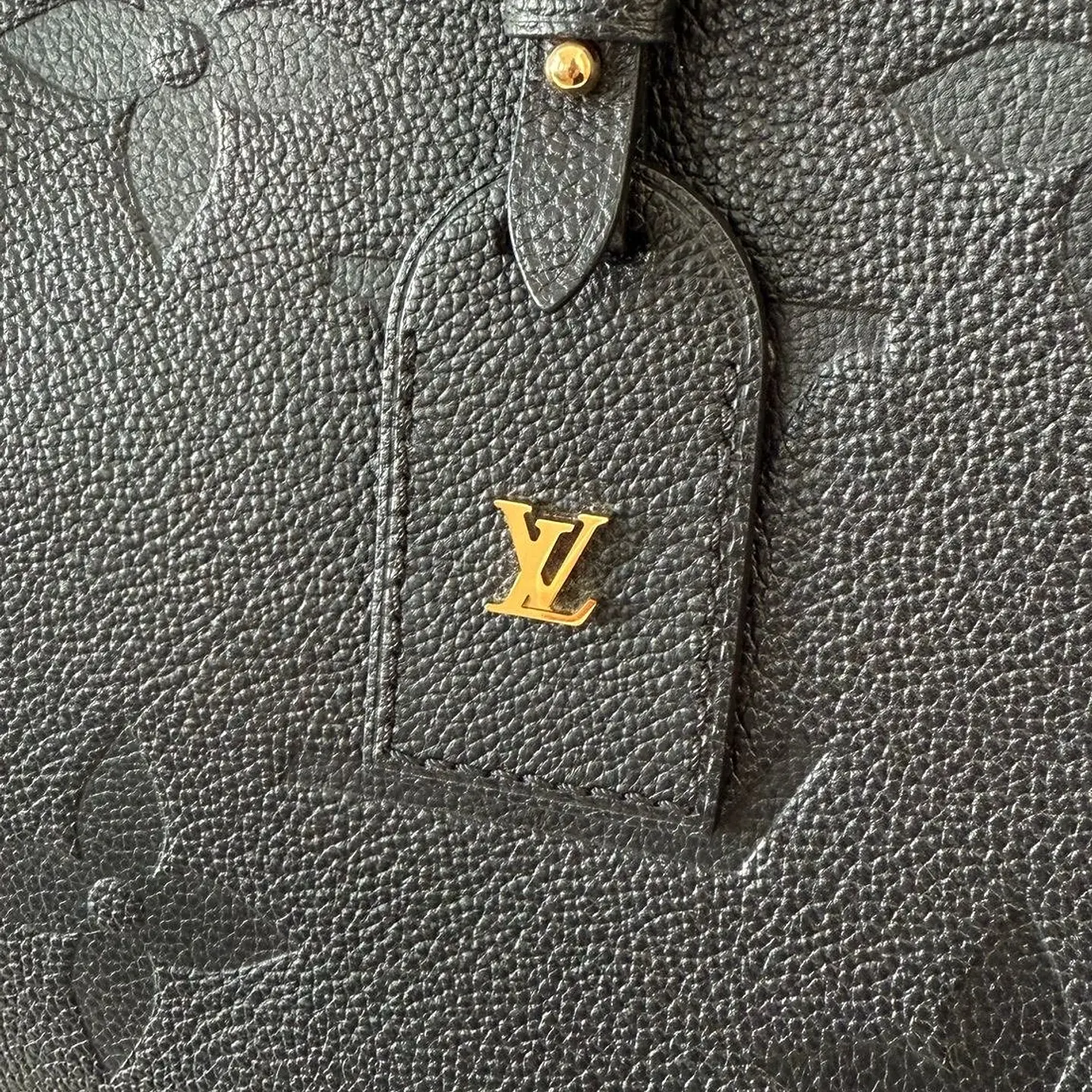 CARRYALL LOUIS VUITTON PM 5