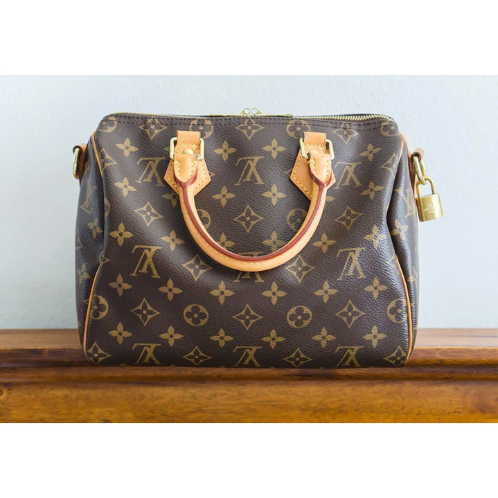SPEEDY 25 LOUIS VUITTON  2