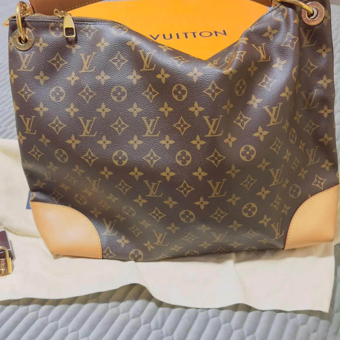 CARTERA LOUIS VUITTON  3