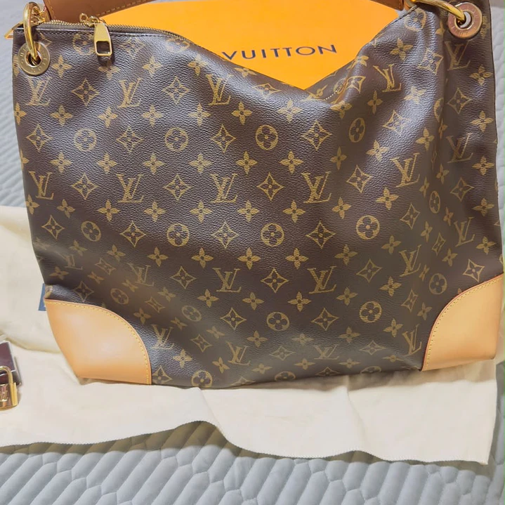 CARTERA LOUIS VUITTON  3