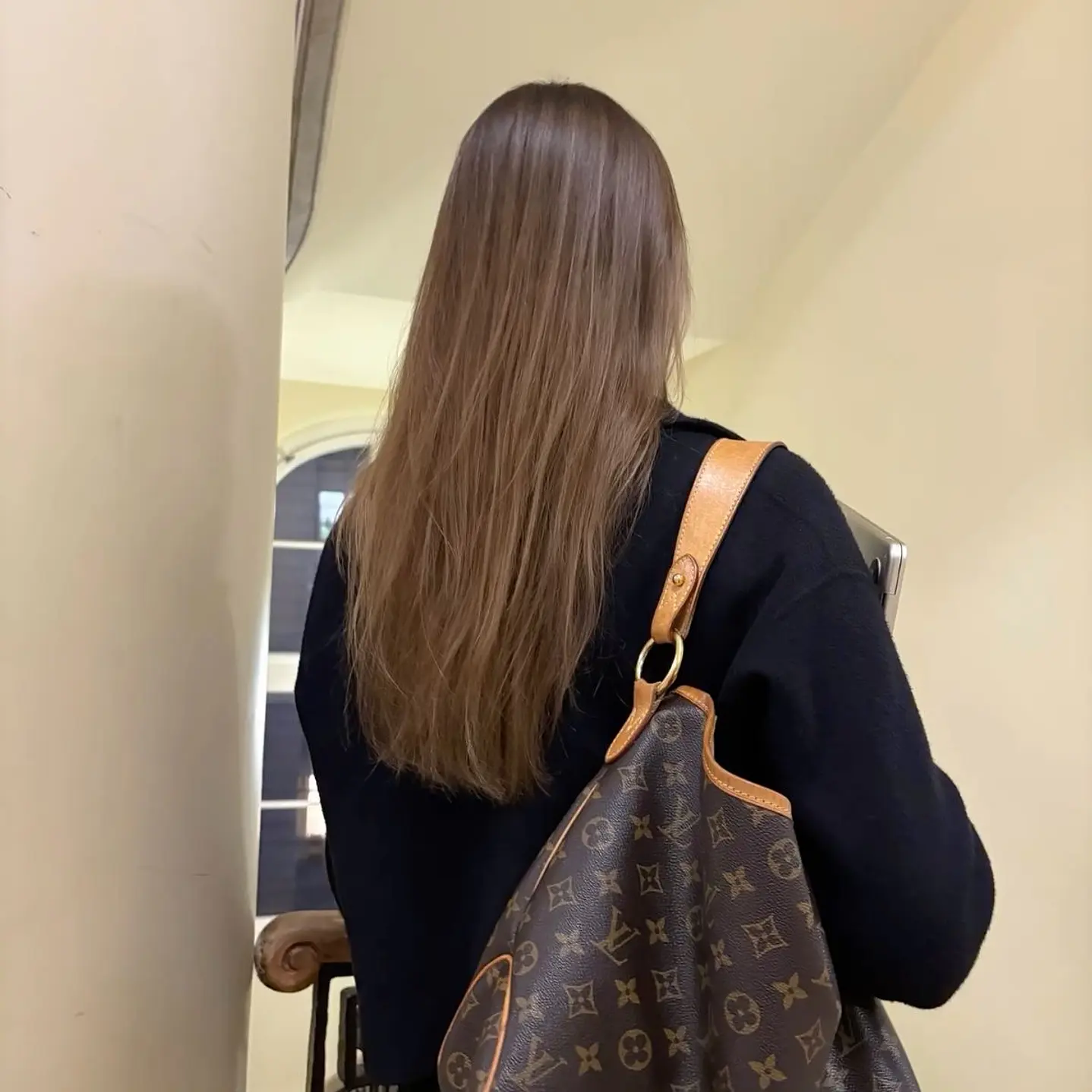 CARTERA LOUIS VUITTON  2