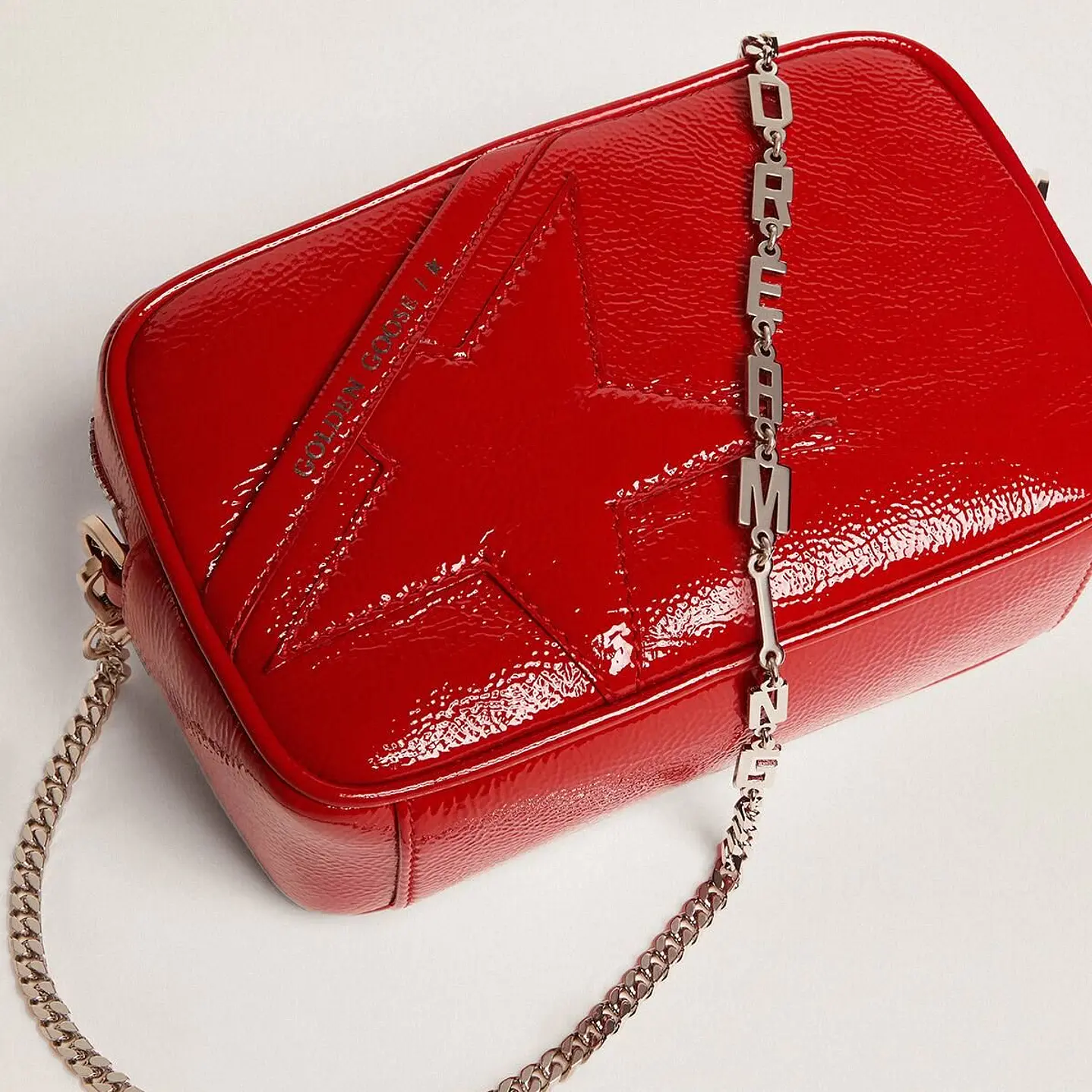 CARTERA GOLDEN GOOSE  4