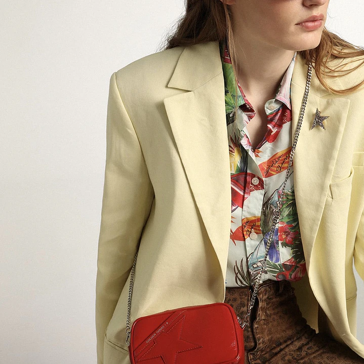 CARTERA GOLDEN GOOSE  2