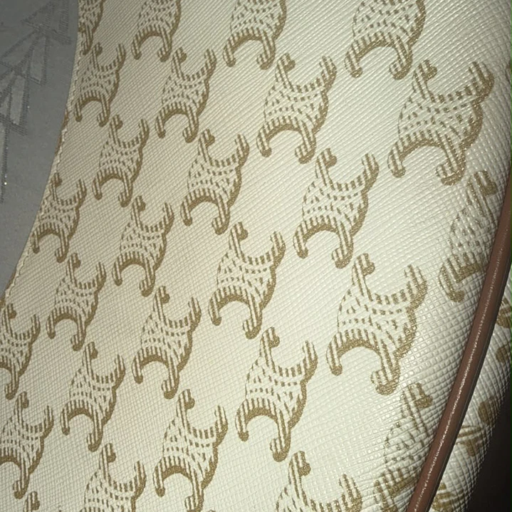 CARTERA CELINE  7