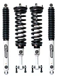 Suspensión Peterson para F150 2015+ - Miniatura 2