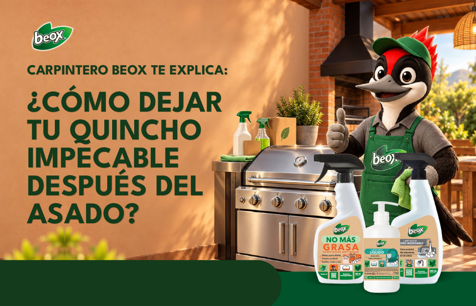 🐦 Carpintero Beox te explica: ¿Cómo dejar tu quincho impecable después del asado?