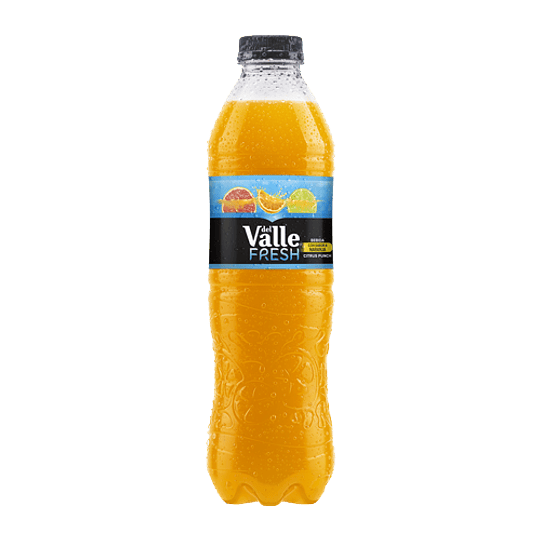 Del Valle Fresh Citrus Punch 500 ml Plásticos 12 Piezas