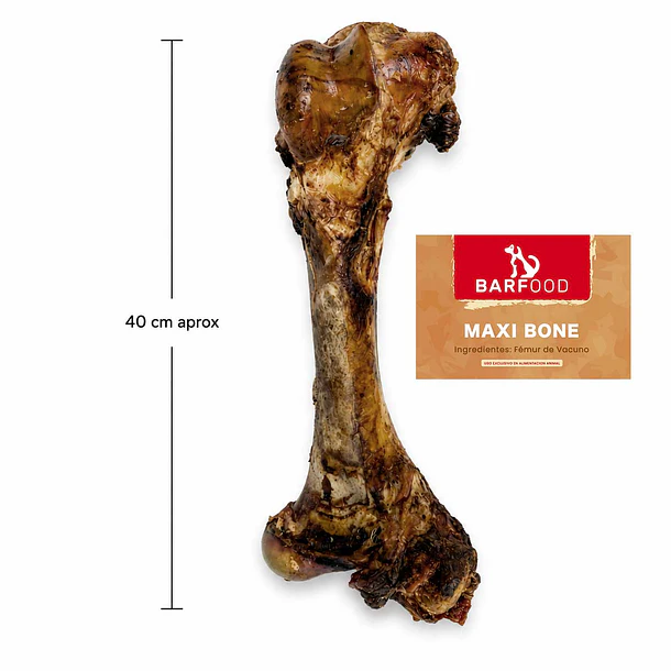 Maxi Bone (Hueso para Perros)