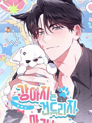 Poster BL variedades