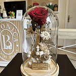 Cúpula Rosa eterna.