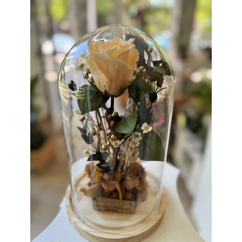 Cúpula Rosa eterna.