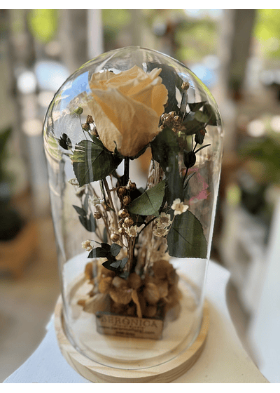 Cúpula Rosa eterna.